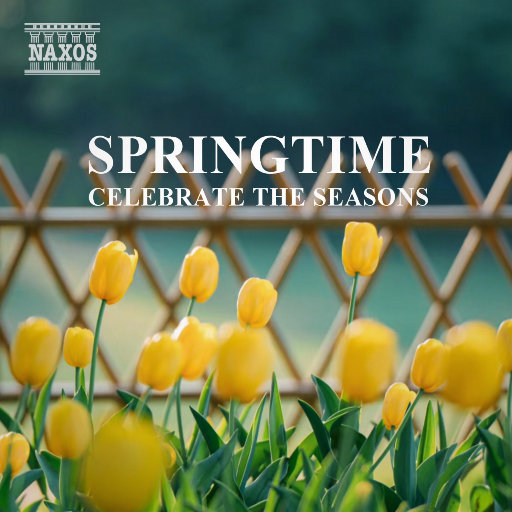 女人自熨100式图片
